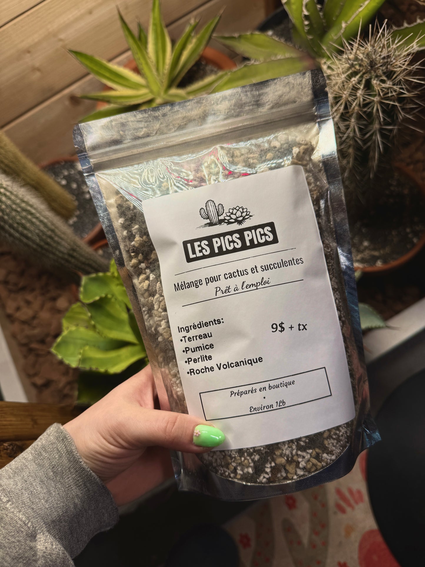 .Mélange pour cactus et succulentes