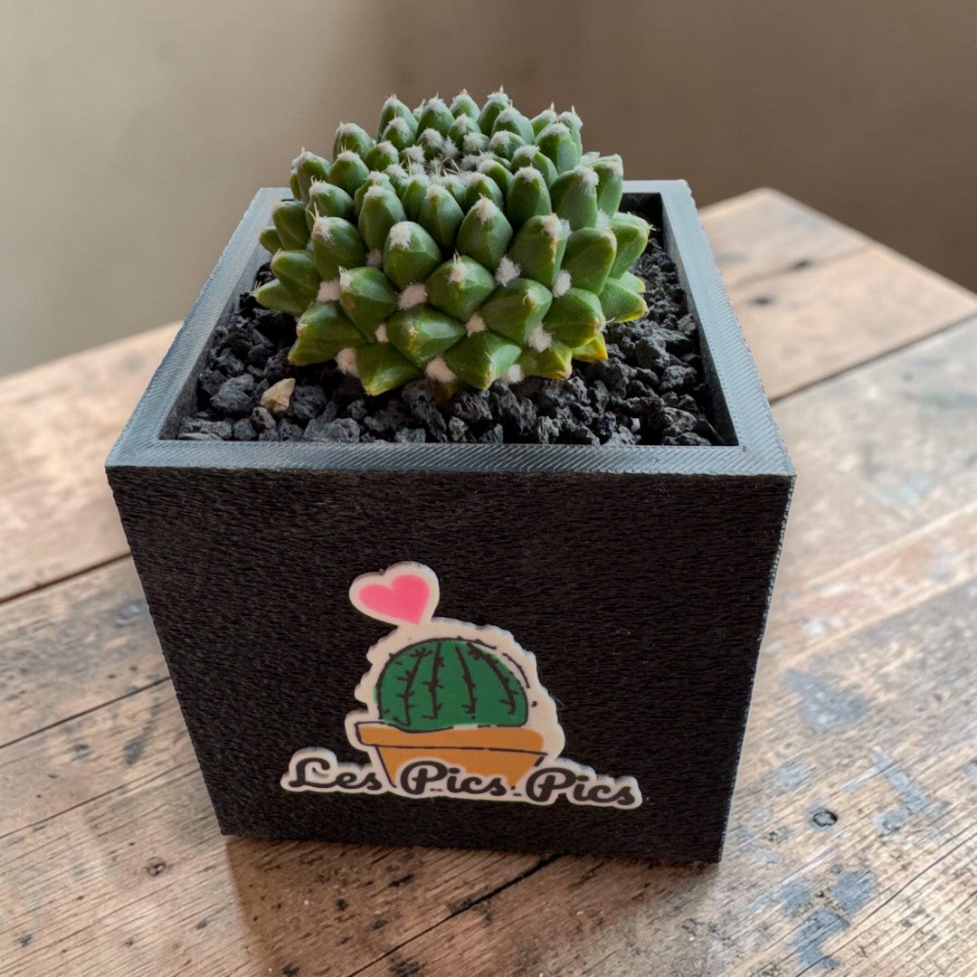 .Le pot 3D LesPicsPics