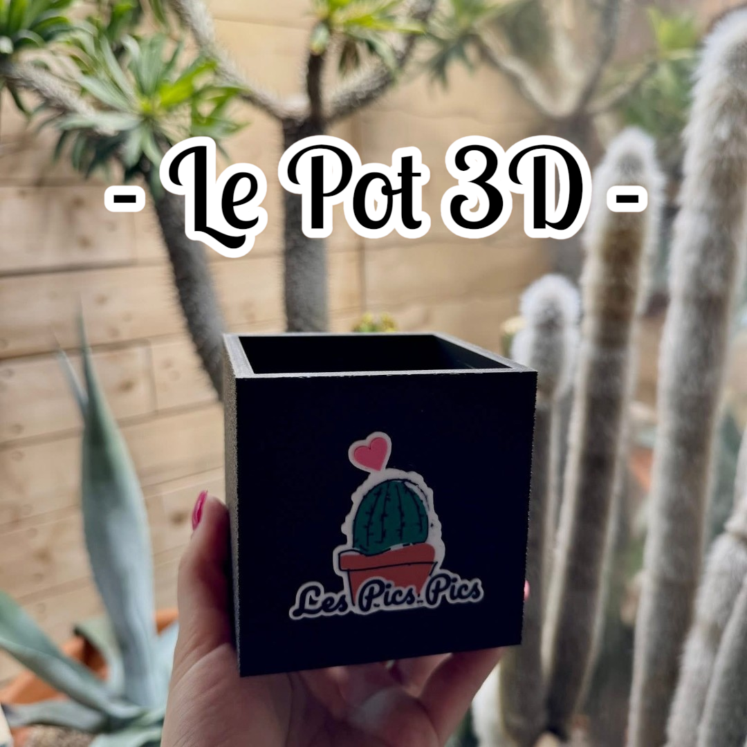 .Le pot 3D LesPicsPics