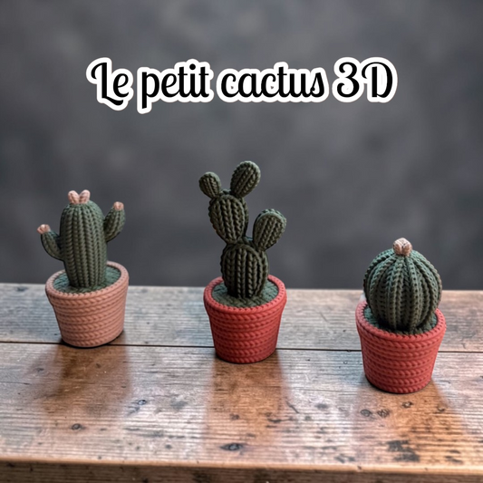 .Le petit cactus 3D
