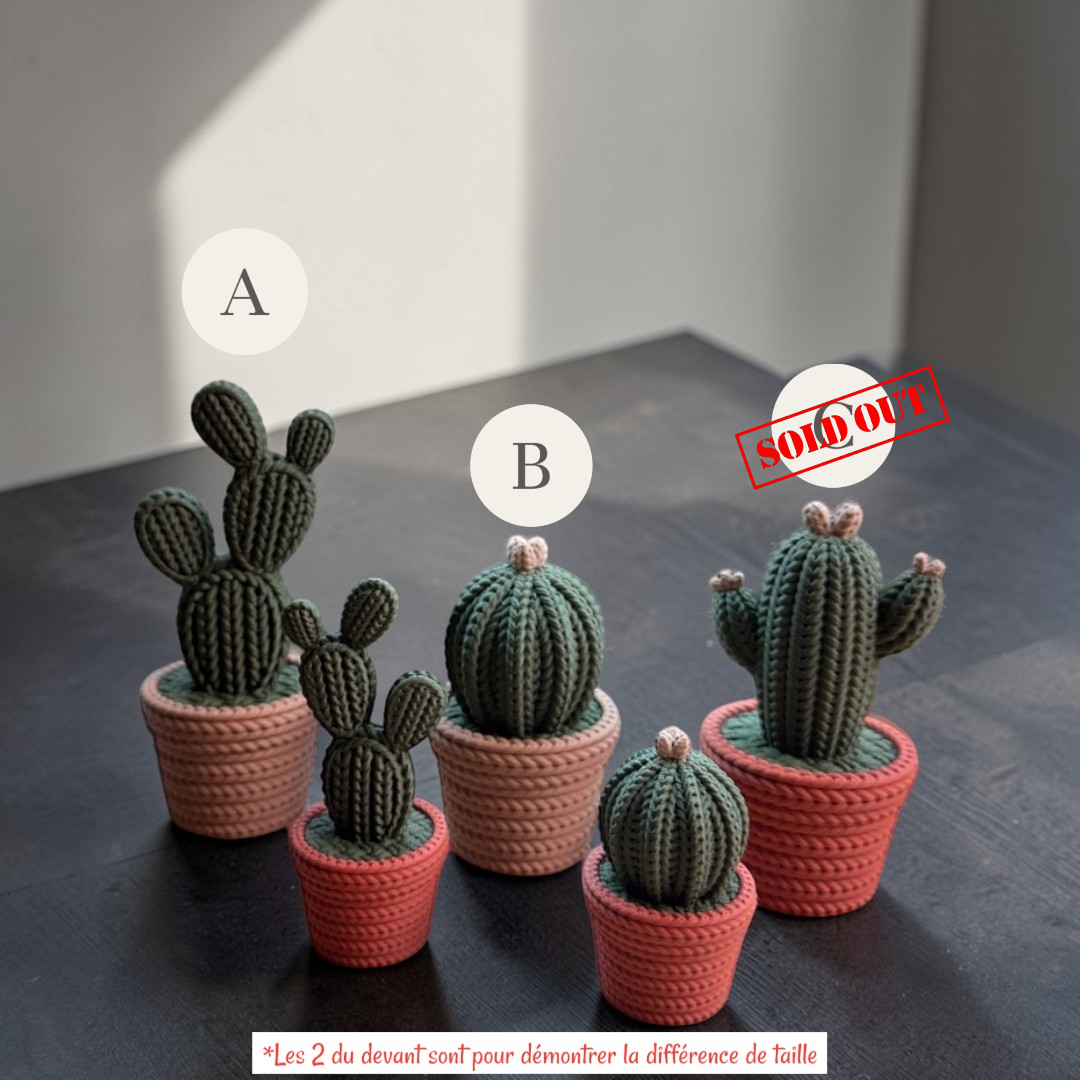 .Le gros cactus 3D
