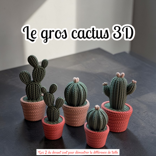 .Le gros cactus 3D